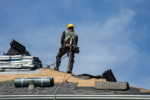 Professional Storm Damage Roof Repair technician working in Carrollton, VA